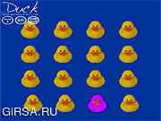 Флеш игра онлайн Увлекательный пазл / Duck - Think Outside The Flock