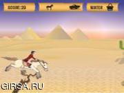 Флеш игра онлайн Египетский Лошадь 
