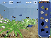 Флеш игра онлайн Найдите ракушки в аквариуме