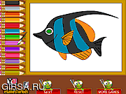 Флеш игра онлайн Рыбная раскраска