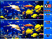 Флеш игра онлайн Рыба - Найти отличия / Fish Spot The Difference