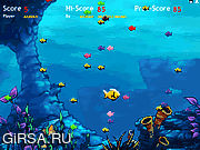 Флеш игра онлайн fishda