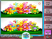Флеш игра онлайн Цветы. Найти отличия / Flower Color Difference