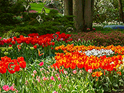 Флеш игра онлайн Цветочный Сад 2