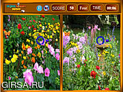 Флеш игра онлайн Цветы - найти отличия