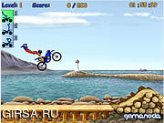 Флеш игра онлайн FMX Team