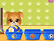 Забавный Щенячий Наряд