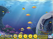 Флеш игра онлайн Growing Fish