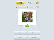 Флеш игра онлайн Угадай животное викторина