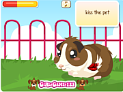 Флеш игра онлайн Уход за свинкой / Guinea Pig Care Y8