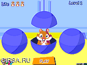 Флеш игра онлайн Hamster ball