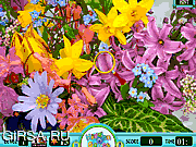 Флеш игра онлайн В поисках цветов