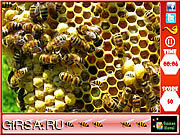 Флеш игра онлайн Поиск предметов - Пчелы / Honeycomb - Hidden Bees