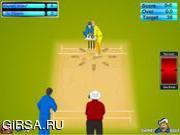 Флеш игра онлайн Легендарный крикет