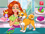 Флеш игра онлайн Джесси Сиба собака / Jessie's Shiba Dog