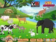 Флеш игра онлайн Украшение джунглей / Jungle Animals Decor