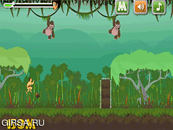 Флеш игра онлайн Спасение Джунглей / Jungle Rescue