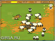 Флеш игра онлайн Овцы Kaban