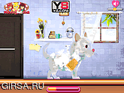 Флеш игра онлайн Салон красоты для котят / Kitty Grooming Salon