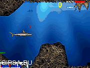 Флеш игра онлайн Lost Shark