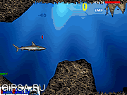 Флеш игра онлайн Акула вернулась / Lost Shark