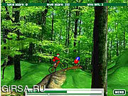 Флеш игра онлайн Велосипед горы / Mountain Bike