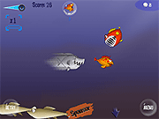 Флеш игра онлайн Одиссея Океана  / Ocean Odyssey