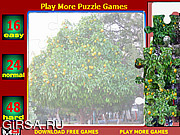 Флеш игра онлайн Orange Tree Jigsaw Puzzle