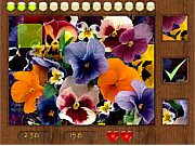 Флеш игра онлайн В поисках цветов / Parts of Picture:Flowers