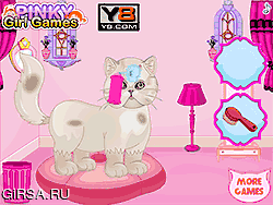 Флеш игра онлайн Персидская Кошка Принцесса Уход