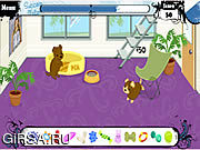 Флеш игра онлайн Pet Academy