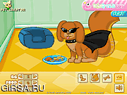 Флеш игра онлайн Pet Creator