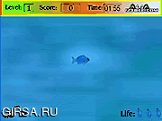 Флеш игра онлайн Играть Рыбы