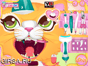 Флеш игра онлайн Драгоценные Стоматолог Китти / Precious Kitty Dentist