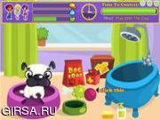 Флеш игра онлайн Pretty Dog Contest