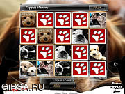Флеш игра онлайн Найди пару - Щенята / Puppies Memory