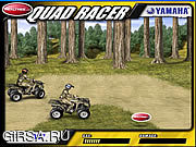 Флеш игра онлайн Quad Racer