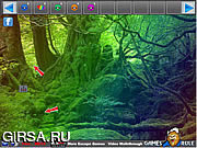 Флеш игра онлайн Освобождение из леса