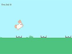 Флеш игра онлайн Бегущий кролик
