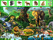 Флеш игра онлайн Животные - Найти предметы