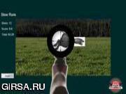 Флеш игра онлайн Стрелковый спорт / Shooting Sports