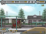 Флеш игра онлайн Skateboard City