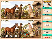Флеш игра онлайн Найти отличия - Боевой конь