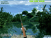 Флеш игра онлайн Летняя рыбалка на озере / Summer Lake Fishing