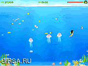 Летние Ракушки