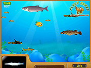 Флеш игра онлайн Суд над рыбой