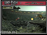 Флеш игра онлайн Harry Potter I - Grab the Golden Egg