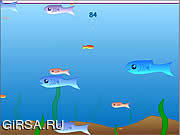 Флеш игра онлайн Мир рыбок / Fishy