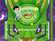 Флеш игра онлайн Тим Пинбол / Tim Pinball