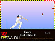 Флеш игра онлайн Top Spinner Cricket